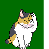 Kitty scratching its head